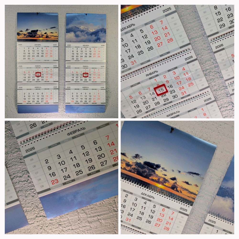 20251013 111602 COLLAGE2 2